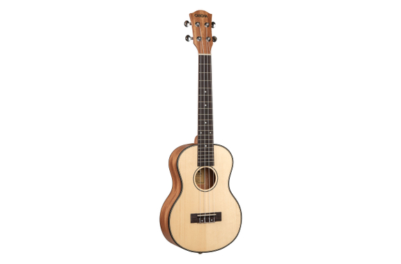 Cascha Tenor Mahagoni Ukulele Set image 2
