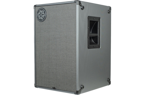 Darkglass DG210N Cabinet image 2