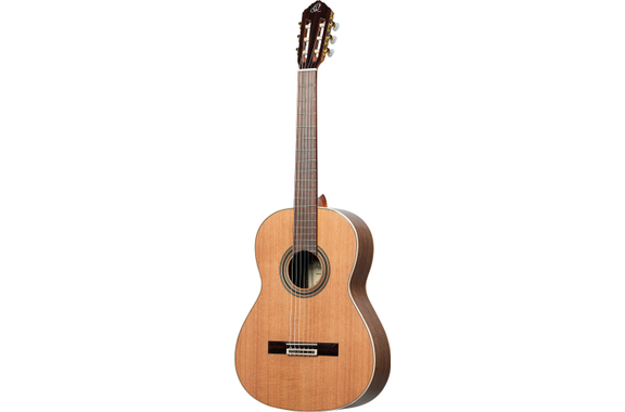 Ortega R20GSNWN Traditional Series 4/4 Guitare Classique image 2