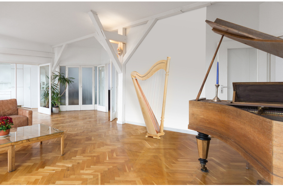 Classic Cantabile P-38 Hakenharfe 38 Saiten  - Retoure (Zustand: gut) image 2