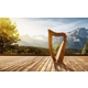 Classic Cantabile H-12 WN Keltische Harfe 12 Saiten