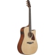 Ibanez AAD51CE-NT Western Acoustic Guitar Natural High Gloss