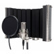 Pronomic CM-100S Large-Diaphragm Microphone Complete Set incl. Stand, Pop Filter, Micscreen & Cable