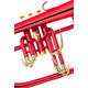 Lechgold FH-60AR Anima rossa Bb Flugelhorn Red