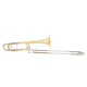 Kühnl & Hoyer .547 B/F Tenor Trombone Brass