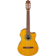 Ibanez GA3ECE-OAM Open Pore Amber 4/4