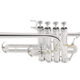 Cerveny CTR 6018TSII Piccolo Trompette Sib/La Senator