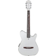 Ibanez TOD10N-SMF Gitaar Silver Metallic Flat