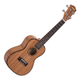 Cascha Premium Concert Mahogany Ukulele Set