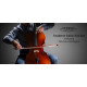 Classic Cantabile Student Cello 3/4 Set incl. Bow and Case