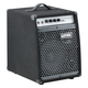 Warwick BC 20 Bass Combo