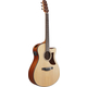 Ibanez AAM50CE-OPN Open Pore Natural