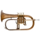 Lechgold FH-60GV Bb Flugelhorn Antique