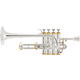 Cerveny CTR 8018RSG Trompeta Piccolo Bb/A Senator