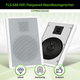 Pronomic FLS-540 WH Paar Flatpanel Wandlautsprecher Box weiß