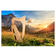 Classic Cantabile H-12 AW Keltische Harfe 12 Saiten