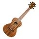 Flight DUC440 Acacia Set Ukulele Concerto