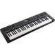 Roland Go:Keys 5 Graphite Keyboard Set