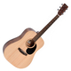 Ditson D-10 Natural Satin Set