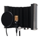 Pronomic CM-100BG Large-Diaphragm Microphone Complete Set incl. Stand, Pop Filter, Micscreen & Cable