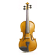Conjunto de Violín Estudiante Stentor SR1500 1/2 II