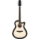 Ibanez AAM370M1CETPA Transparent Panda