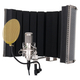 Pronomic CM-100S Large-Diaphragm Microphone Complete Set incl. Stand, Gold Pop Filter, Micscreen & Cable