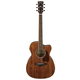 Ibanez AC340CE-OPN Open Pore Natural