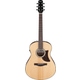 Ibanez AAM100E-NT Natural High Gloss