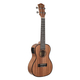 Cascha Premium Concert Mahogany Ukulele Set with Pickup