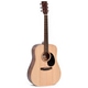 Ditson D-10 Natural Satin