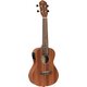 Ortega RFU11SE Konzert Ukulele