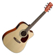 Cort MR500E Open Pore Gigbag Set