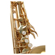 Classic Cantabile Winds TS-450 Saxophone Ténor Sib Set 2,5 Anches