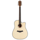 Rocktile WSD-100C NT Guitare Western Set Débutant