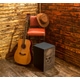 XDrum Design Series Cajon "Skull"
