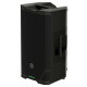 Mackie SRT212 Aktivbox