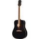 Epiphone Hummingbird Tribute Ebony