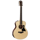 Taylor GS Mini-e Rosewood Plus