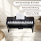 Classic Cantabile DP-220 SM E-Piano Zwart Mat Set