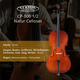 Classic Cantabile CP-100 Ensemble Violoncelle 1/2