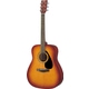 Yamaha F310 TBS Tobacco Brown Sunburst Set