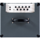 Darkglass Microtubes 500 Combo 112
