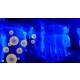 Eurolite UV-Seifenblasenfluid 1L Gelb