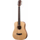 Taylor BT1e Baby