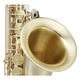 Classic Cantabile Winds TS-450 Brushed Bb Saxophone Ténor 2.0 Jeu d’Anches