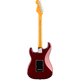 Fender American Professional Stratocaster Oxblood