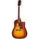 Epiphone J-45 Standard EC Honey Burst