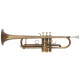 Lechgold TR-16V Trompeta Bb antigua