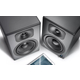 Wavemaster Two PRO stone gray Enceintes